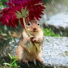 Схема вышивки «ПОД ЗОНТОМ»