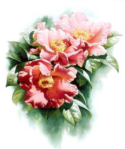 Цветочки - оригинал