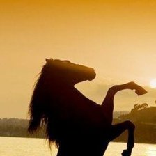 Схема вышивки «Конь на берегу моря при закате ч.1»