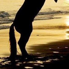 Схема вышивки «Конь на берегу моря при закате ч.2»