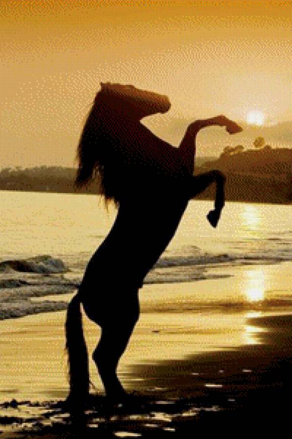 Конь на берегу моря при закате - море, конь, силует, закат - предпросмотр