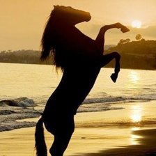 Схема вышивки «Конь на берегу моря при закате»