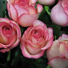 Схема вышивки «№625722»