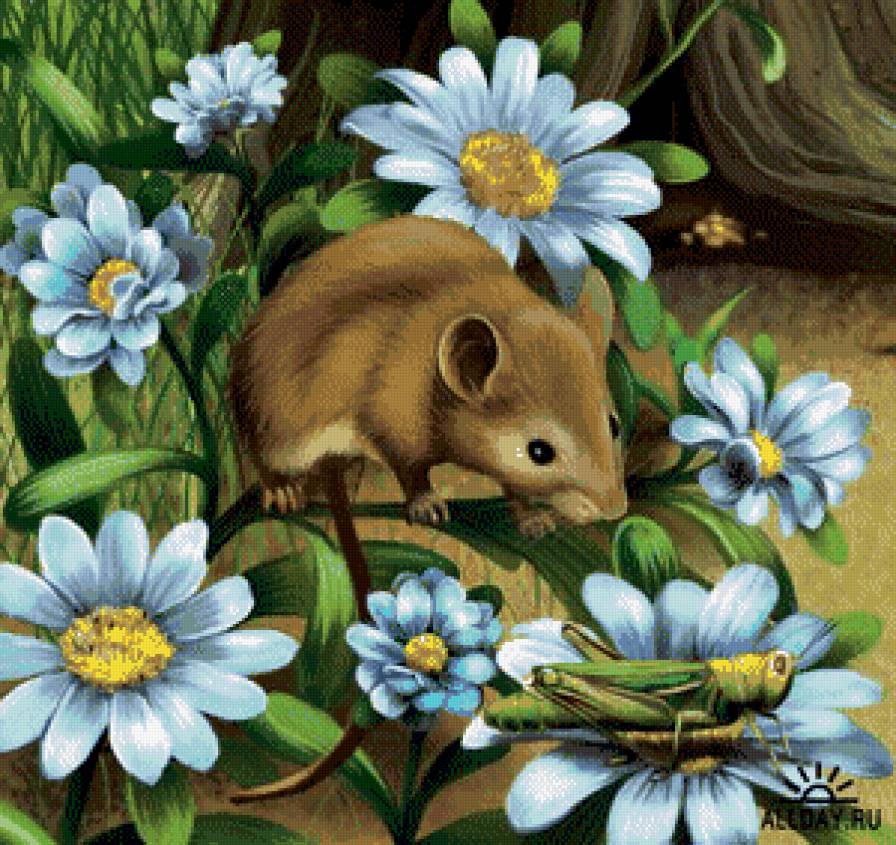 Мышонок в цветах - животные, цветы - предпросмотр