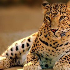 Схема вышивки «ggg»