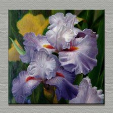 Схема вышивки «ирисы»