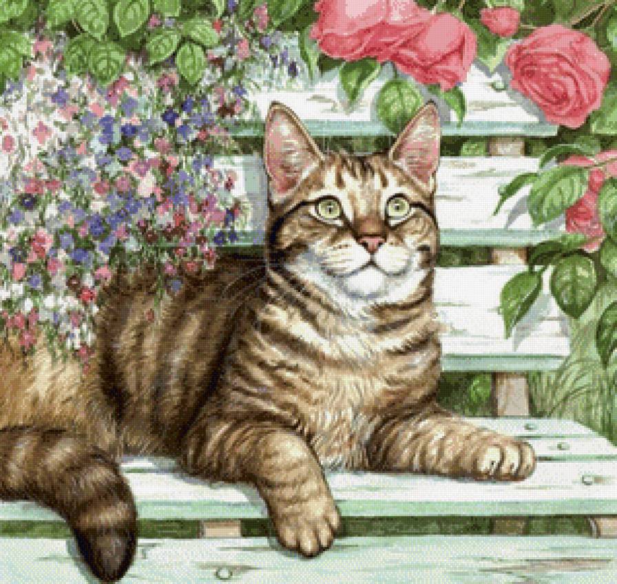 кошечка - предпросмотр