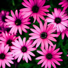 Схема вышивки «kkl»