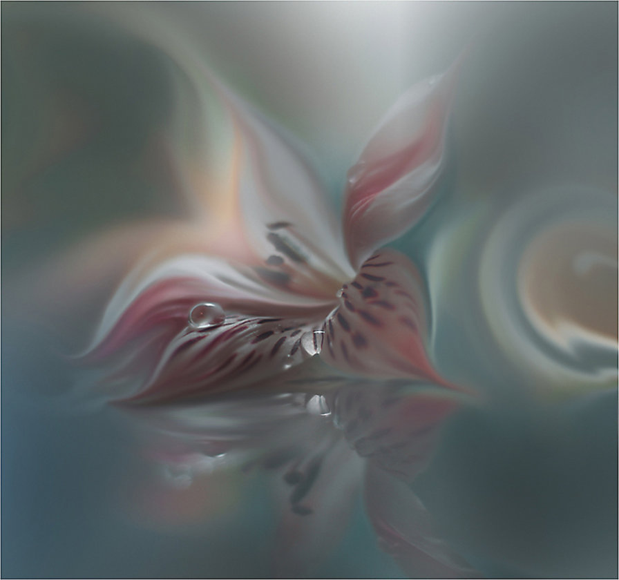 нежность - оригинал