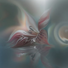 Схема вышивки «нежность»