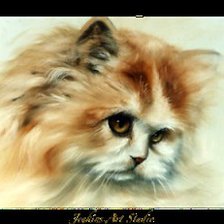 Пушистый дружок