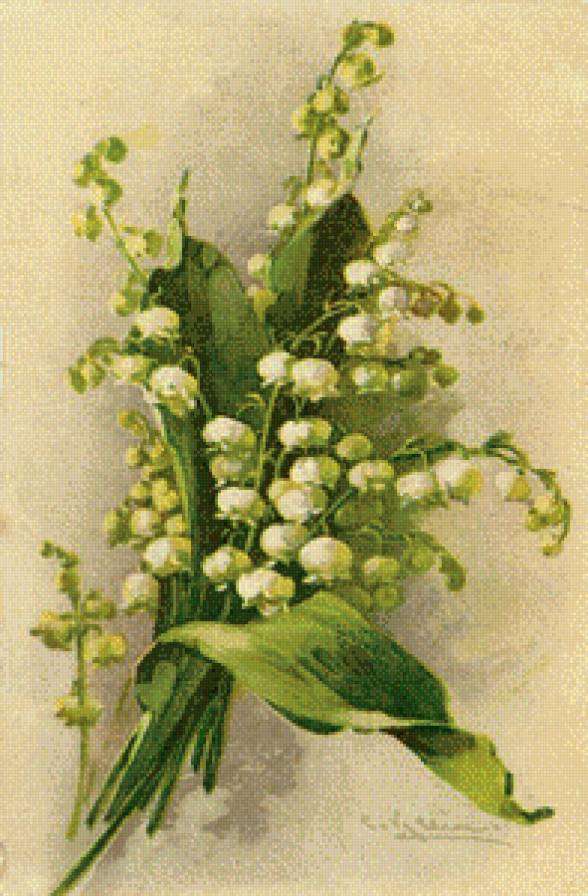 Ландыши - предпросмотр