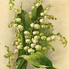 Схема вышивки «Ландыши»