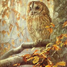 Схема вышивки «№626172»