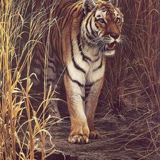 Схема вышивки «№626179»