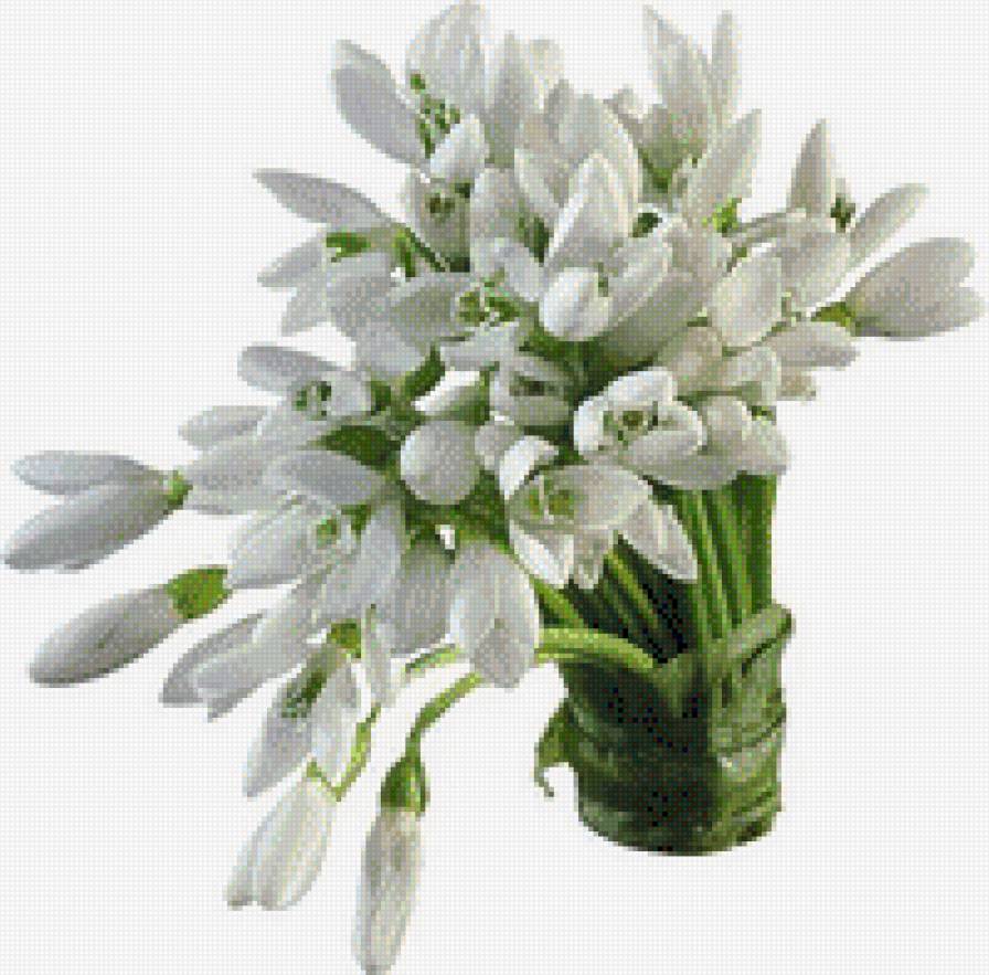 ПІДСНІЖНИКИ - квіти - предпросмотр