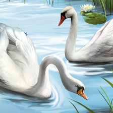 Схема вышивки «лебеди»