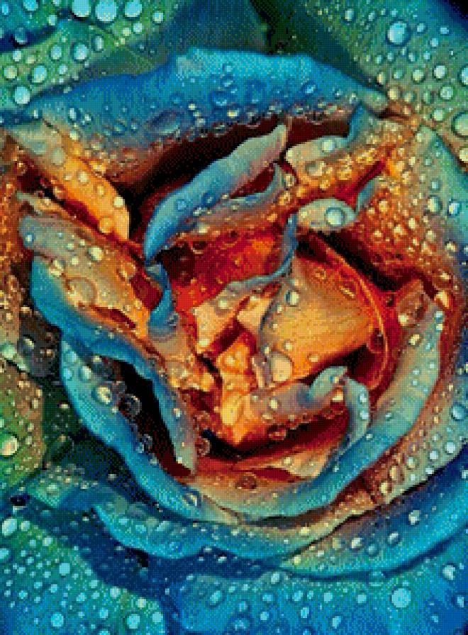 роза - предпросмотр