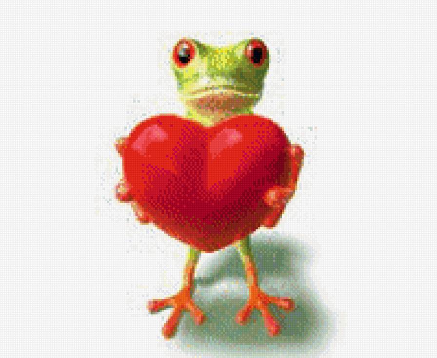 лягушка с сердцем - любовь, лягушка. животные - предпросмотр