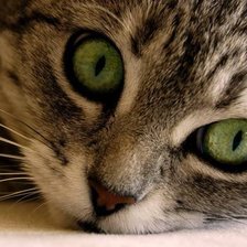 Схема вышивки «Малыш»