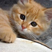 Схема вышивки «Малыш»