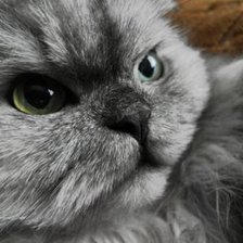 Схема вышивки «Малыш»