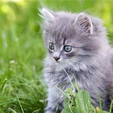 Схема вышивки «Малыш»