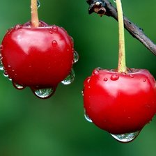 Схема вышивки «вишенки»