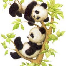 Схема вышивки «пандочки»