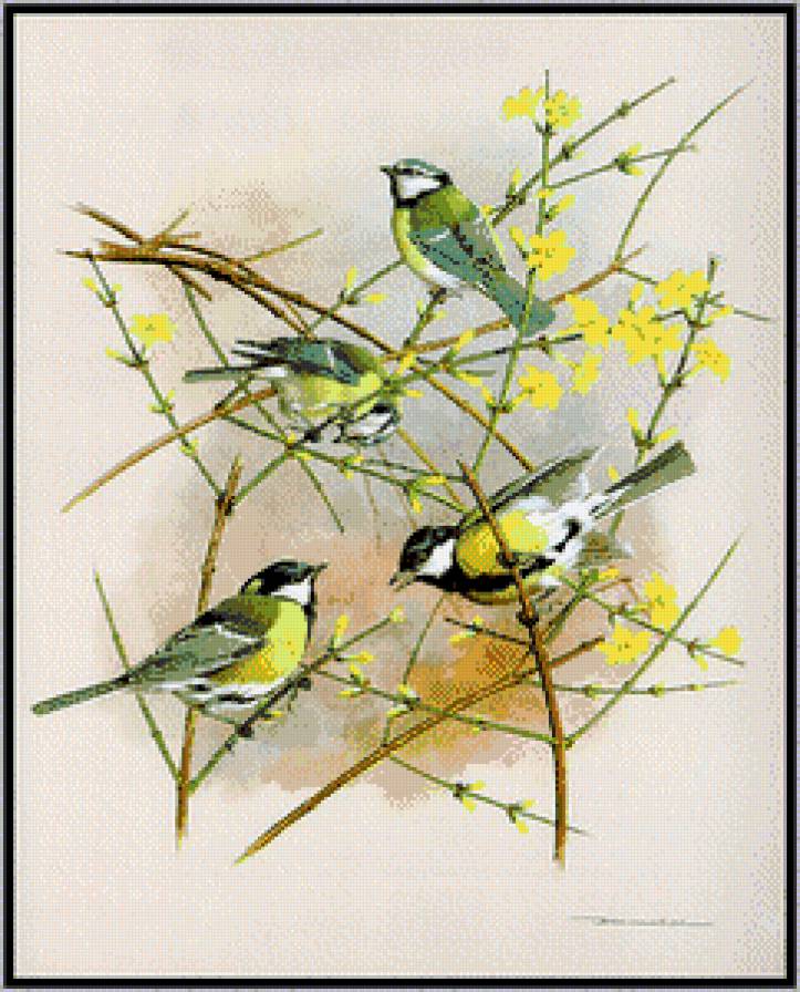 синички - предпросмотр