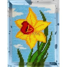 Схема вышивки «нарциссы»