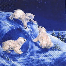 Схема вышивки «Белые медвежата»