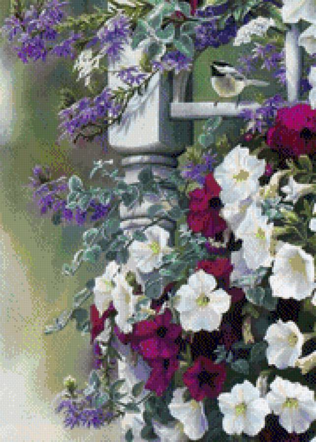 susan bourdet - предпросмотр