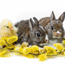 Схема вышивки «ЗАЙЧАТА»