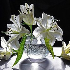 Схема вышивки «лилии»