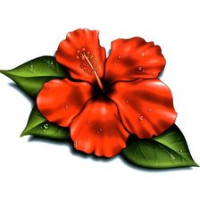 Схема вышивки «гибискус»