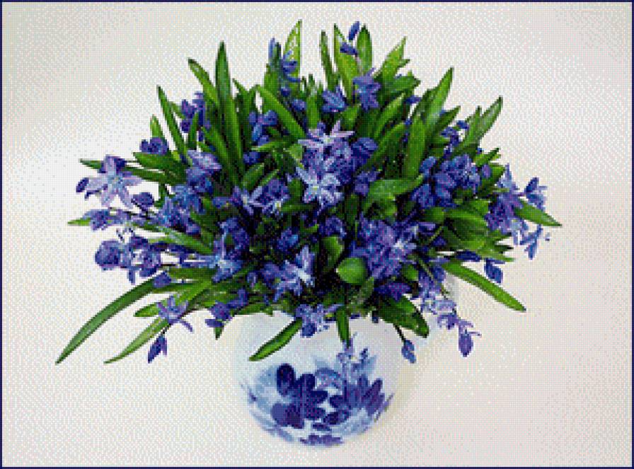 фиалки - цветы.фиалки - предпросмотр