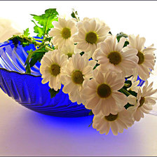 Схема вышивки «ромашки»