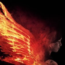 Схема вышивки «Сойка-пересмешница»