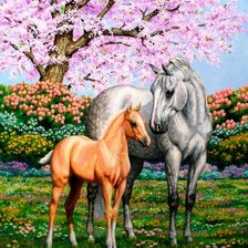 Схема вышивки «№626868»