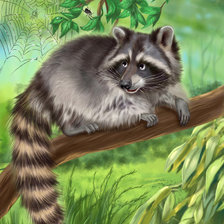 Схема вышивки «Енот»