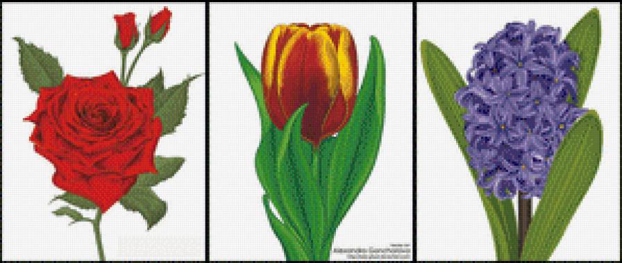 Триптих"Цветы" - цветы, роза, тюльпан, триптих, гиацинт - предпросмотр