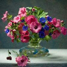 Схема вышивки «натюрморт»