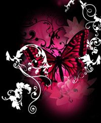 бабочка - бабочка - оригинал