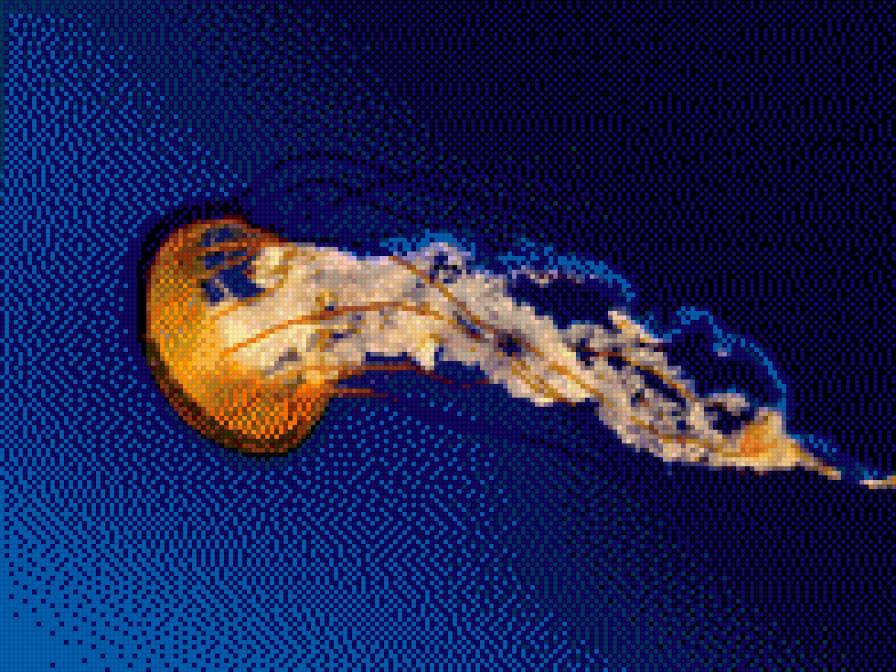 Медуза - предпросмотр