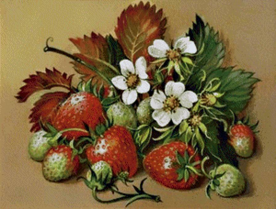 ягодки - кухня, натюрморт, винтаж, клубника, виктория, ягоды, ретро - предпросмотр