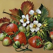 Схема вышивки «ягодки»