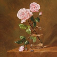 Схема вышивки «Розы»