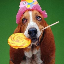 Схема вышивки «басетик»