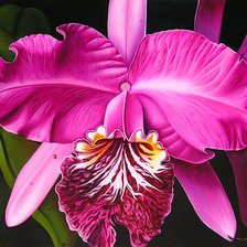 Схема вышивки «№627319»